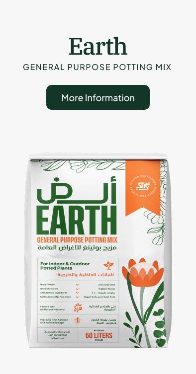 Earth