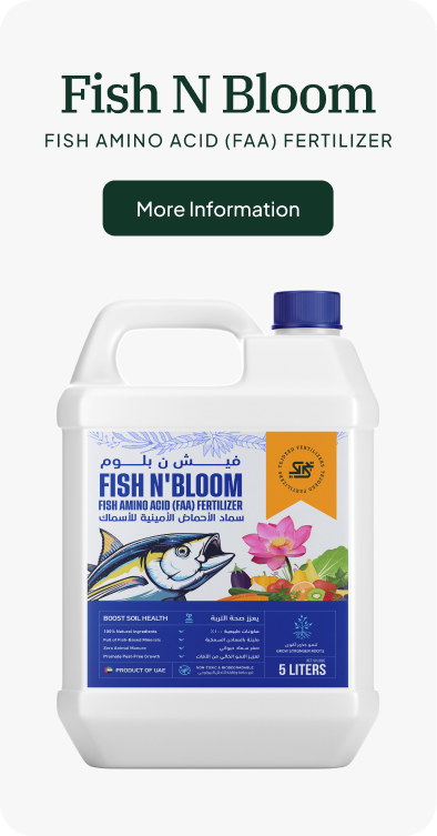 fishNBloom